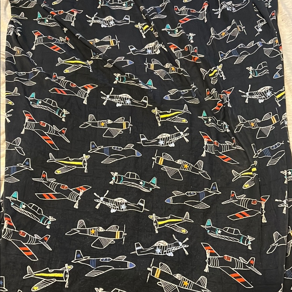 Little Sleepies Take Flight Crib Sheets
